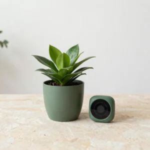 Sensor Starter Set