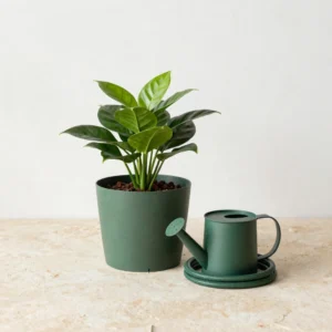 Watering Starter Set